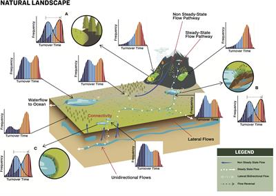Integrating Aquatic and Terrestrial Perspectives to Improve Insights Into Organic Matter Cycling at the Landscape Scale
